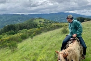 Vanuit Florence: Paardrijden en wijntour op landgoed met lunch