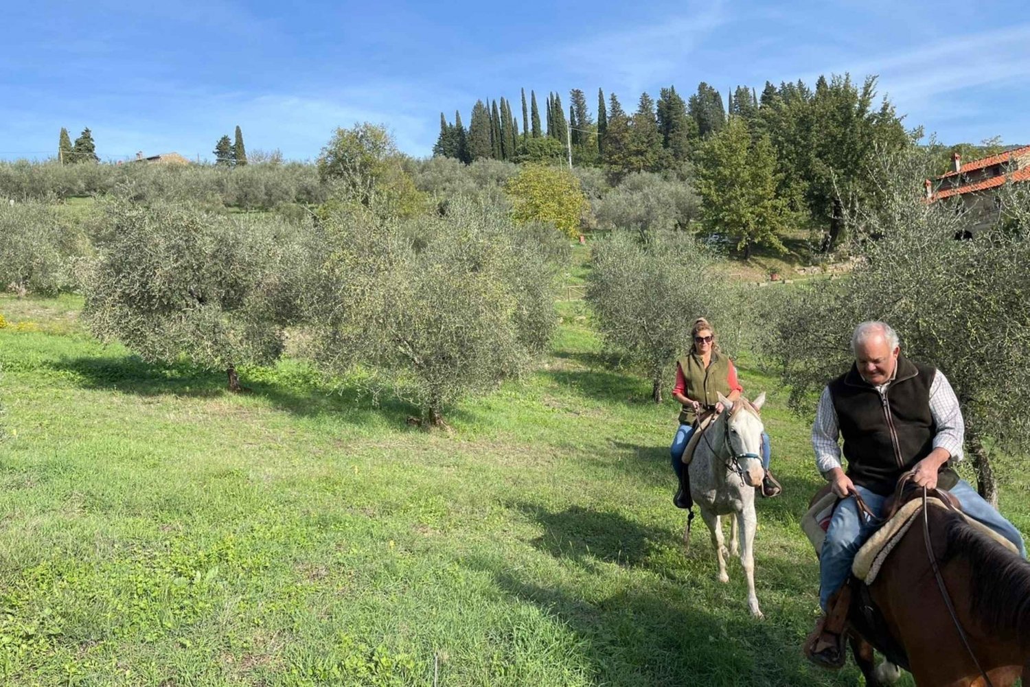 Au départ de Florence : Randonnée à cheval et visite de l'huile d'olive avec déjeuner