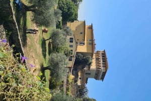 Från Florens: Ridning och olivoljetur med lunch