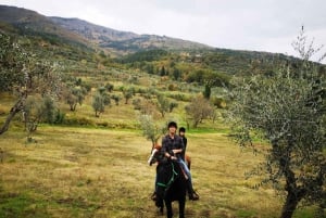 Desde Florencia: Paseo a Caballo y Ruta del Aceite de Oliva con Comida