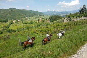 Au départ de Florence : Randonnée à cheval et visite de l'huile d'olive avec déjeuner
