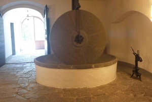 From Florence: Horseback Ride and Olive Oil Tour with Lunch