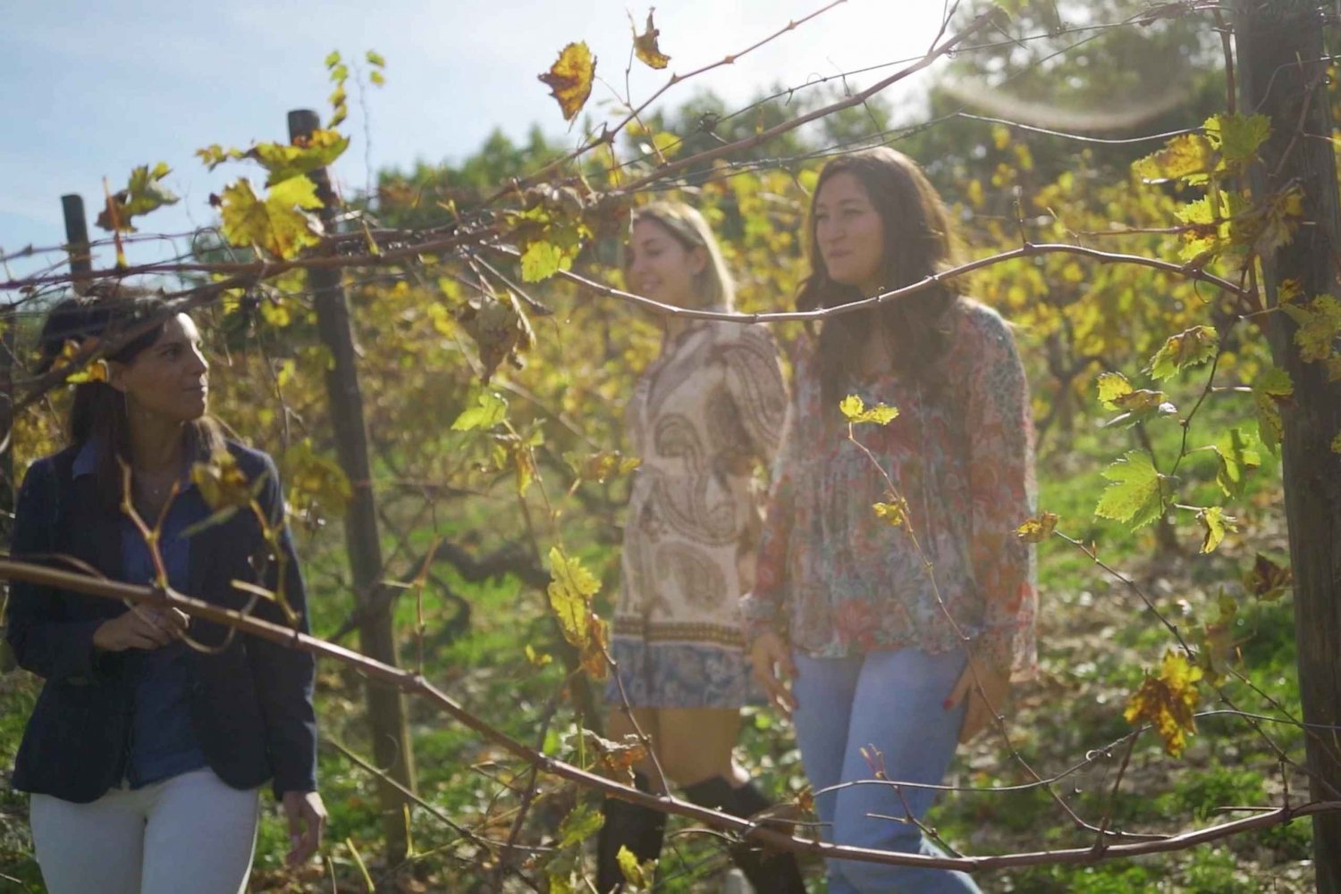 De Florença: Viagem de 1 dia a Montepulciano, Montalcino e Cortona