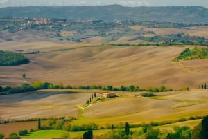 De Florença: Viagem de 1 dia a Montepulciano, Montalcino e Cortona