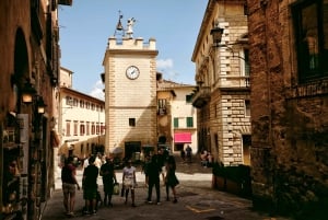 De Florença: Viagem de 1 dia a Montepulciano, Montalcino e Cortona