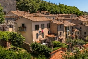 De Florença: Viagem de 1 dia a Montepulciano, Montalcino e Cortona