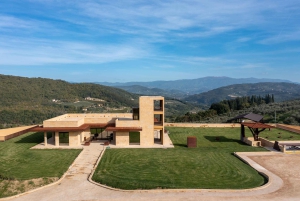 Da Firenze: tour del frantoio e degustazione a Fiesole