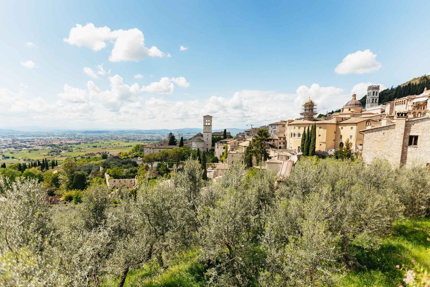 Desde Florencia: Orvieto y Asís con visitas a iglesias