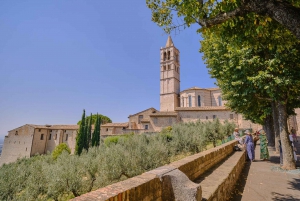 Fra Firenze: Tur til Orvieto og Assisi med kirkebesøk