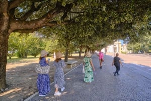 Från Florens: Orvieto- och Assisi-tur med kyrkobesök