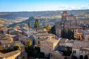 Fra Firenze: Tur til Orvieto og Assisi med kirkebesøk