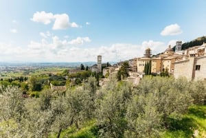 Desde Florencia: Orvieto y Asís con visitas a iglesias