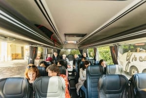 Desde Florencia: Orvieto y Asís con visitas a iglesias