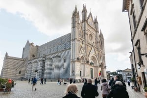 Desde Florencia: Orvieto y Asís con visitas a iglesias