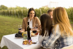 From Florence: Outdoor Wine Dining in San Gimignano Winery