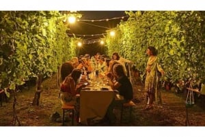 Fra Firenze: Udendørs vinspisning på vingård i San Gimignano