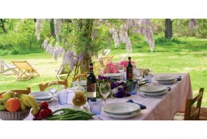 From Florence: Outdoor Wine Dining in San Gimignano Winery