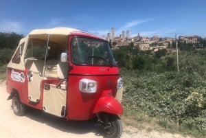 From Florence: Panoramic Vintage Tour in Chianti by Tuk Tuk