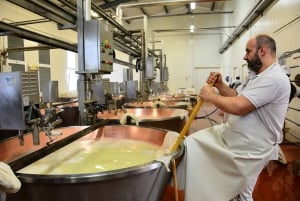 From Florence: Parmesan and Balsamic Vinegar Factory Tour