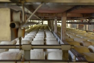 From Florence: Parmesan and Balsamic Vinegar Factory Tour