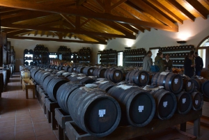 From Florence: Parmesan, Balsamic Vinegar, & Prosciutto Tour
