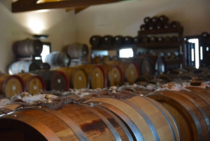 From Florence: Parmesan, Balsamic Vinegar, & Prosciutto Tour