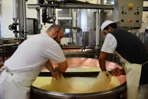 Z Florencji: Wycieczka z parmezanem, octem balsamicznym i szynką prosciutto