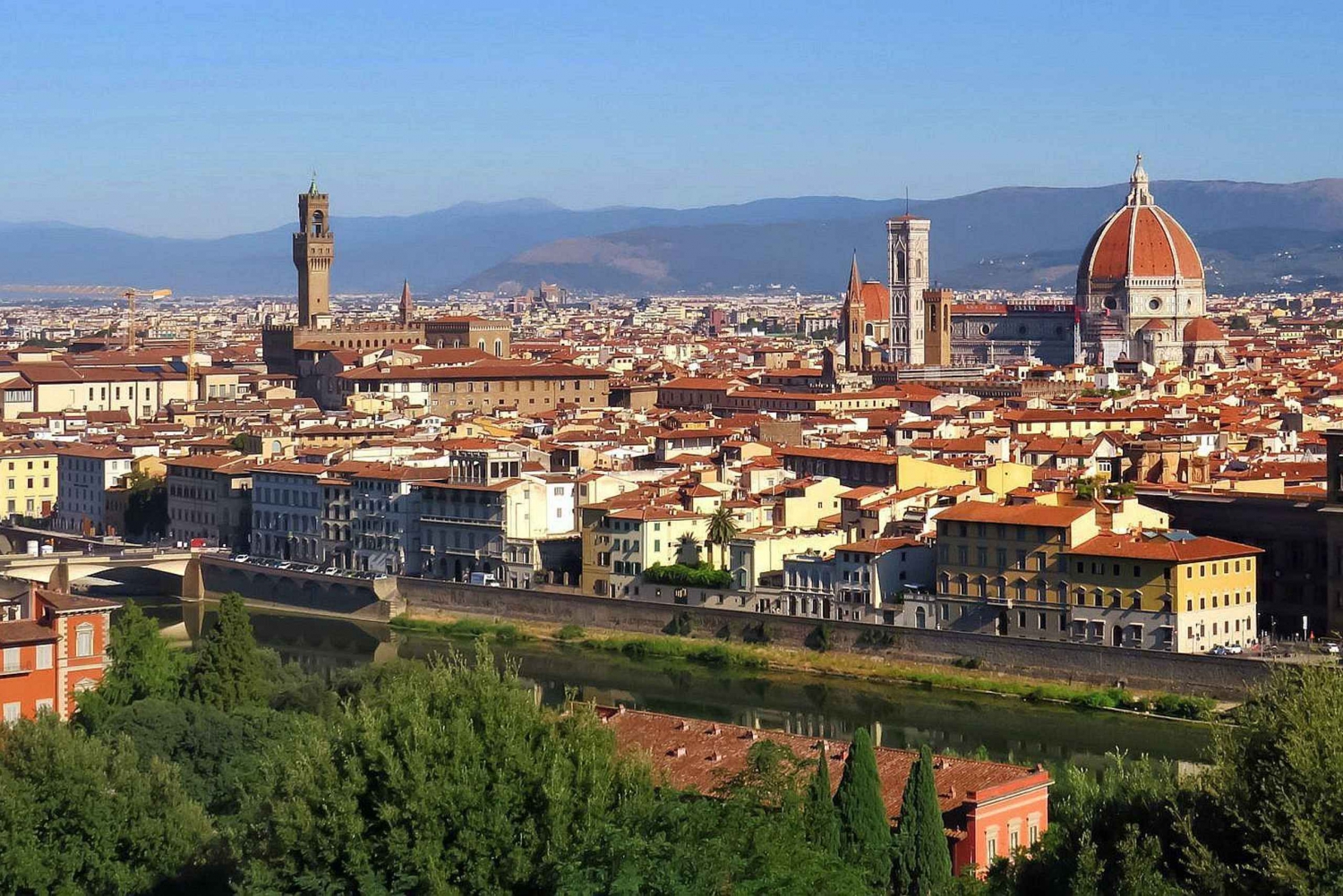 Fra Firenze: Heldagstur til Pisa og Firenze