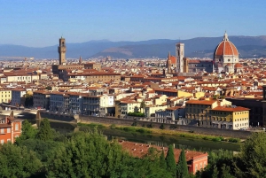 Fra Firenze: Heldagstur til Pisa og Firenze