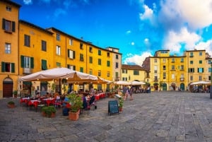 Da Firenze: tour privato di un'intera giornata a Pisa e Lucca