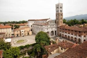 Från Florens: Pisa och Lucca - privat heldagsutflykt från Florens