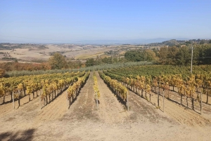 From Florence: Pisa/Chianti Half Day Tour with Wine Tasting