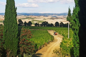 From Florence: Pisa/Chianti Half Day Tour with Wine Tasting