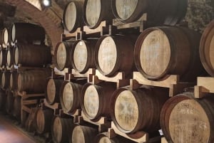 Vanuit Florence: Pisa/Chianti Halve Dag Tour met Wijnproeverij