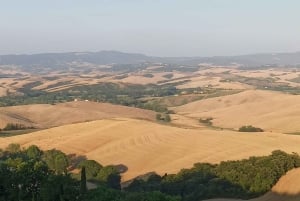 Vanuit Florence: Pisa/Chianti Halve Dag Tour met Wijnproeverij