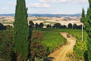 Vanuit Florence: Pisa/Chianti Halve Dag Tour met Wijnproeverij