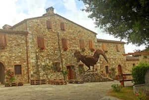 Vanuit Florence: Pisa/Chianti Halve Dag Tour met Wijnproeverij