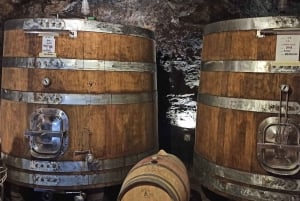 Vanuit Florence: Pisa/Chianti Halve Dag Tour met Wijnproeverij