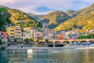 Depuis Florence : Pise et Cinque Terre avec excursion à pied