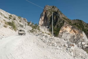 Из Флоренции: Однодневная поездка в Пизу, Лукку и Каррарский мрамор