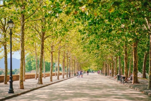 Desde Florencia: Excursión de un Día a Pisa y Lucca con Degustación de Buccellato