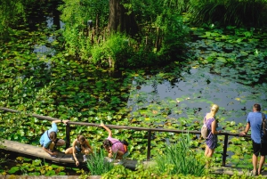Desde Florencia: Excursión de un Día a Pisa y Lucca con Degustación de Buccellato