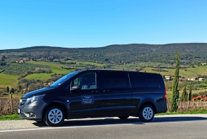 From Florence: Pisa and Siena with Wine Tasting in Chianti