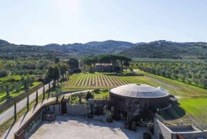 Z Florencji PRYWATNE: Bolgheri Wine Tour z degustacją