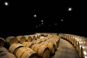 De Florença PRIVADO: Bolgheri Wine Tour com degustação