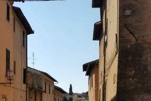 Au départ de Florence : Excursion privée d'une journée à San Gimignano et Pise