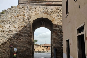 Au départ de Florence : Excursion privée d'une journée à San Gimignano et Pise