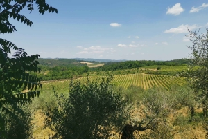 Au départ de Florence : Excursion privée d'une journée à San Gimignano et Pise