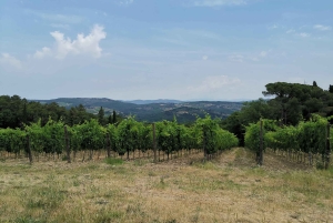 Au départ de Florence : Excursion privée d'une journée à San Gimignano et Pise