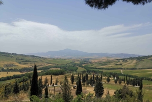 Au départ de Florence : Excursion privée d'une journée à San Gimignano et Pise